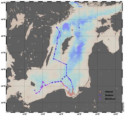 Estimation of net accumulation and removal of fluorescent dissolved organic matter in different Baltic Sea water masses